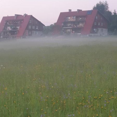 Apartament Wrzos Bieszczady Czarna  Buitenkant foto