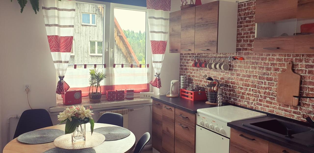 Apartament Wrzos Bieszczady Czarna  Buitenkant foto