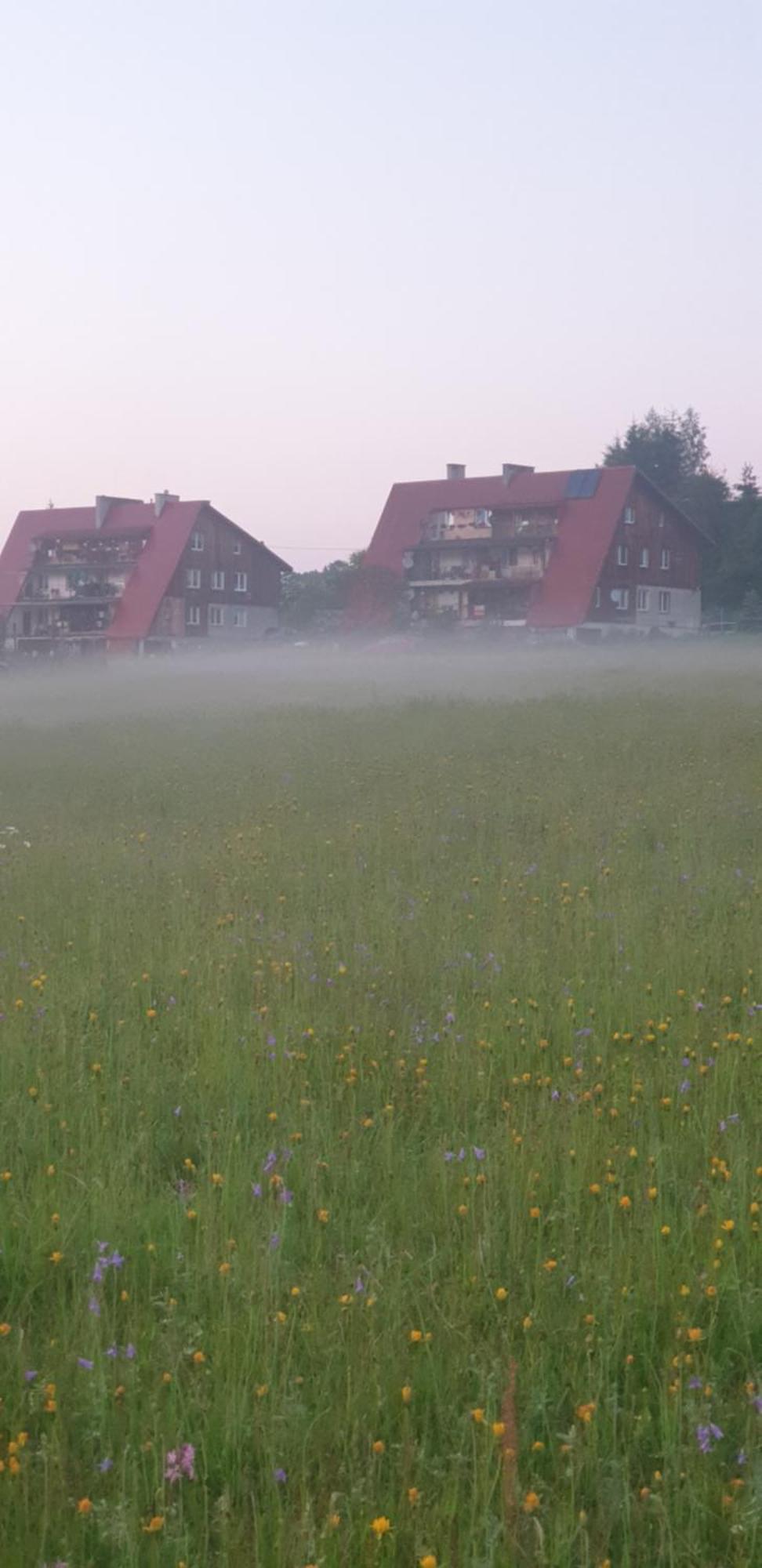 Apartament Wrzos Bieszczady Czarna  Buitenkant foto